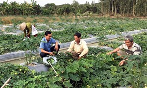 Cần Thơ: Chung sức vì mục tiêu giảm nghèo bền vững