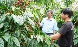 Lâm Đồng: Nâm Nung đổi thay từ sức dân và ý Ðảng
