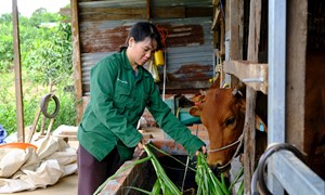 Lâm Đồng tiếp thêm động lực giúp bà con đồng bào thoát nghèo