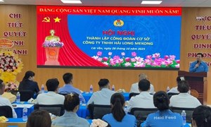 Vĩnh Long: Chủ động, vượt thách thức thúc đẩy thành lập Công đoàn cơ sở 