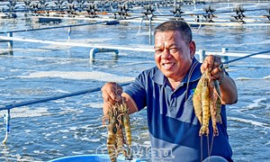 Cà Mau: Thi đua yêu nước - Động lực phát triển toàn diện