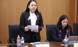 Phó Chủ tịch - Tổng Thư ký Nguyễn Thị Thu Hà đề nghị cần cơ chế ưu đãi để bảo hiểm vi mô đến gần hơn với người yếu thế