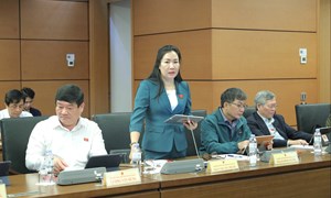 Dự thảo Văn kiện Đại hội lần thứ XIV: Rõ khái niệm tài sản trí tuệ và tài sản số