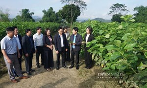 Đoàn công tác Trung ương Hội Nông dân Việt Nam thăm, làm việc tại xã Trấn Yên, tỉnh Lào Cai