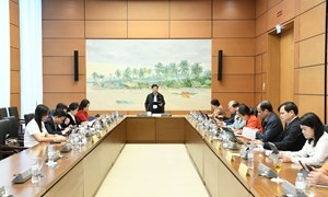 Dự thảo Văn kiện Đại hội lần thứ XIV: Cần minh bạch, khách quan về xác định giá trị quyền sở hữu trí tuệ