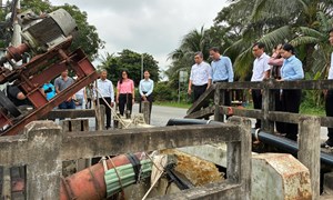 TP Hồ Chí Minh: Chủ tịch Ủy ban MTTQ Việt Nam thành phố khảo sát tình trạng ngập tại làng nghề mai vàng Bình Lợi