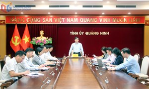 Quảng Ninh: Xây dựng tổ chức cơ sở đảng trong sạch, vững mạnh toàn diện
