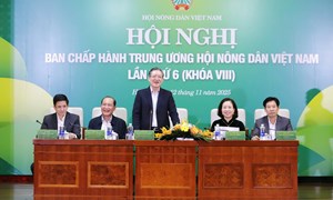 Hội nghị Ban Chấp hành Trung ương Hội Nông dân Việt Nam lần thứ 6, khóa VIII