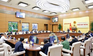 Hội nghị toàn quốc quán triệt Chỉ thị về công tác bầu cử diễn ra vào ngày 15/11