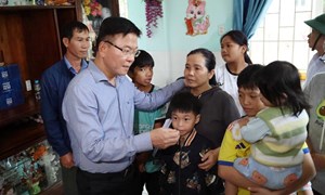Phó Thủ tướng Chính phủ Lê Thành Long kiểm tra công tác khắc phục, thăm hỏi người dân vùng ngập lụt tại Gia Lai