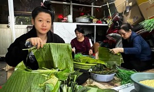 Người dân Quảng Ngãi gói bánh chưng hỗ trợ vùng lũ Gia Lai, Đắk Lắk