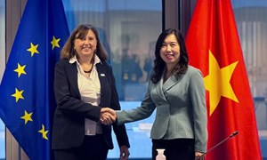 EU hỗ trợ Việt Nam 850.000 euro để khắc phục hậu quả lũ lụt