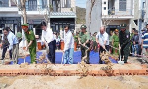 Cùng người dân vùng lũ dựng lại nhà kịp đón tết