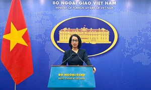 Cộng đồng quốc tế hỗ trợ gần 16 triệu USD giúp Việt Nam khắc phục hậu quả thiên tai