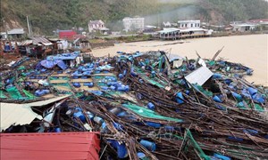 Vĩnh Long phân bổ 35 tỷ đồng hỗ trợ đồng bào khắc phục hậu quả bão, lũ