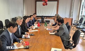 Nhật Bản và Brazil hỗ trợ Việt Nam khắc phục hậu quả bão lũ