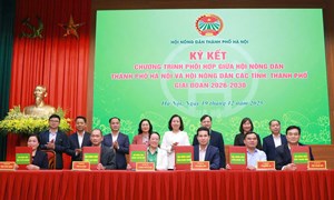 Hà Nội: Hội nghị tổng kết Chương trình phối hợp giữa Hội Nông dân thành phố với Hội Nông dân các tỉnh, thành phố