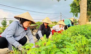 Dấu ấn tuyên truyền của Mặt trận ở cơ sở