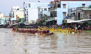 Đại hội XIV của Đảng: Niềm tin và sự kỳ vọng từ cực Nam Tổ quốc