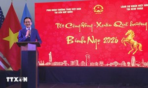 Xuân Bính Ngọ 2026: Ấm áp Tết Cộng đồng Bính Ngọ 2026 tại New York
