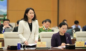 Tập trung tuyên truyền, khẳng định cuộc bầu cử thực sự là ngày hội của toàn dân