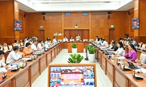 Thành phố Hồ Chí Minh họp trực tuyến với 168 phường, xã, đặc khu về công tác chuẩn bị bầu cử