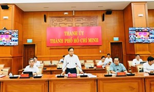Thành phố Hồ Chí Minh kiện toàn 13 Ban bầu cử đại biểu Quốc hội khóa XVI