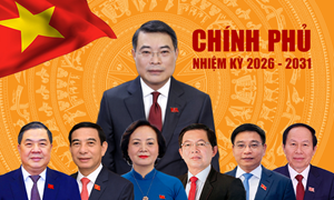 Phân công công tác của Thủ tướng và các Phó Thủ tướng Chính phủ