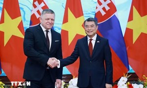 Thủ tướng Việt Nam và Slovakia nhất trí nâng cấp quan hệ lên Đối tác Chiến lược