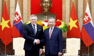 Tăng cường hợp tác Việt Nam-Slovakia trên các lĩnh vực trọng điểm