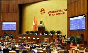 Người lao động được nghỉ và hưởng nguyên lương vào ngày 24/11 – Ngày Văn hoá Việt Nam