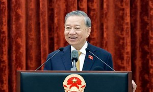 Bài viết của Tổng Bí thư, Chủ tịch nước Tô Lâm: Ánh sáng Hồ Chí Minh soi đường cho chúng ta đi