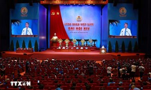 Thủ tướng: Đưa năng suất lao động trở thành động lực quan trọng của tăng trưởng bền vững