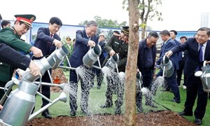 Bài viết của Tổng Bí thư, Chủ tịch nước Tô Lâm: Vì một nền văn minh sinh thái, một Việt Nam xanh và một đại dương hòa bình, bền vững 
