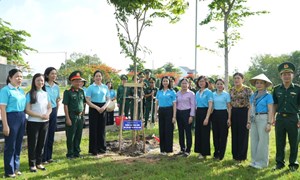Thành phố Hồ Chí Minh: Trung ương Hội LHPN Việt Nam ra quân thực hiện 'Vườn cây Đại đoàn kết'