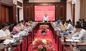 Tây Ninh: Đoàn đại biểu Quốc hội tỉnh giám sát công tác quản lý, sử dụng tài sản công