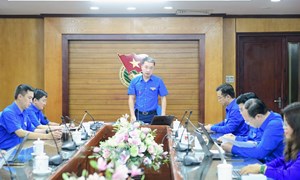 Trung ương Đoàn giao ban công tác Đoàn và phong trào thanh thiếu nhi 6 tháng đầu năm 2026 Cụm hoạt động số 3
