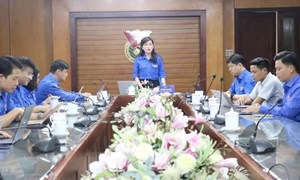 Trung ương Đoàn giao ban công tác Đoàn và phong trào thanh thiếu nhi 6 tháng đầu năm 2026 Cụm hoạt động số 5