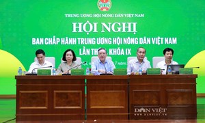 Hội nghị Ban Chấp hành Trung ương Hội Nông dân Việt Nam lần thứ 2, khóa IX