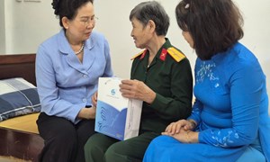 Phó Chủ tịch UBTW MTTQ Việt Nam, Chủ tịch Hội LHPN Việt Nam Lê Thị Thủy thăm, tặng quà người có công tại Đà Nẵng