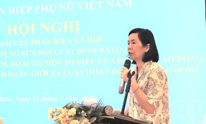Trung ương Hội LHPN Việt Nam tham vấn phản biện xã hội, góp ý sửa đổi một số dự thảo luật