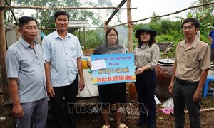 Cà Mau: Ủy ban MTTQ Việt Nam tỉnh thăm hỏi, động viên các gia đình bị ảnh hưởng do mưa dông, lốc xoáy tại xã Đá Bạc