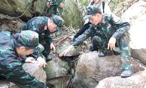 Đà Nẵng: Hoàn thành lấy mẫu sinh phẩm hơn 26.000 phần mộ liệt sỹ trước mùa mưa