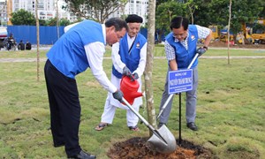Thành phố Hồ Chí Minh: Triển khai đồng bộ Cuộc vận động 'Toàn dân đoàn kết xây dựng nông thôn mới, đô thị văn minh'