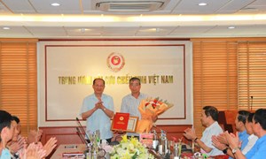 Hội Cựu chiến binh Việt Nam giao ban đánh giá kết quả công tác tháng 7 và triển khai nhiệm vụ trọng tâm tháng 8 năm 2026