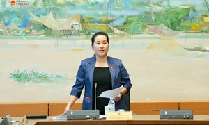 Phát triển dự án trở thành hành lang kinh tế đường sắt
