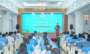 Tổng LĐLĐ Việt Nam tập huấn cho cán bộ Công đoàn chủ chốt năm 2026