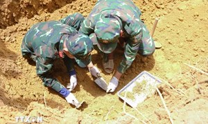 Vĩnh Long huy động nhiều nguồn tư liệu phục vụ tìm kiếm hài cốt liệt sỹ