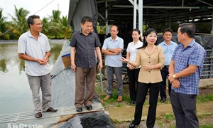 An Giang: Chủ tịch Ủy ban MTTQ Việt Nam tỉnh khảo sát các mô hình nông nghiệp hiệu quả