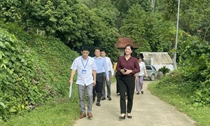 Xây dựng hệ thống dữ liệu điện tử giám sát tập trung, thống nhất